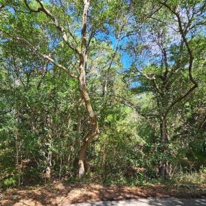 20230830170525614126000000-o