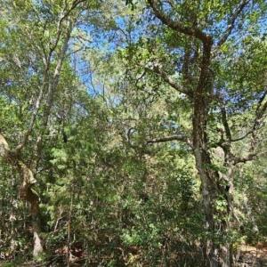 20230830170527081671000000-o