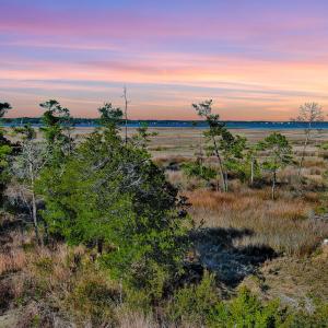 Sunset over the Marsh
