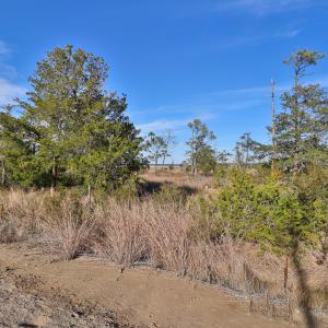 Marsh Front Property in Country Club Run