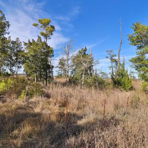 Marsh Front Property in Country Club Run