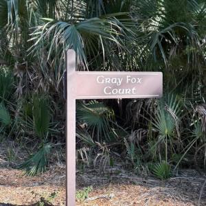 2 GRAY FOX CT