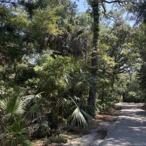 Photo #6 of 2 Gray Fox, Bald Head Island, NC 0.3 acres