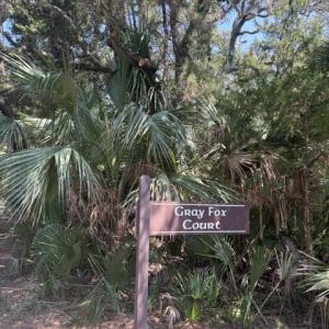Photo #3 of 2 Gray Fox, Bald Head Island, NC 0.3 acres