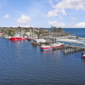 26_dji_0973