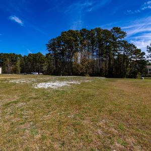 HN9A6801_pro_2500x1667