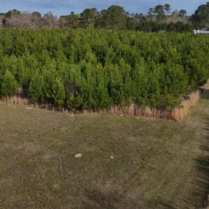 DJI_20260326093759_0016_D