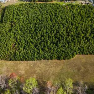 DJI_20260326093506_0013_D