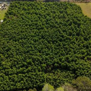 DJI_20260326093356_0011_D