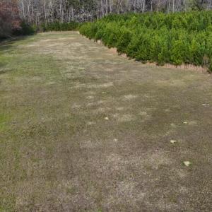 DJI_20260326093746_0015_D