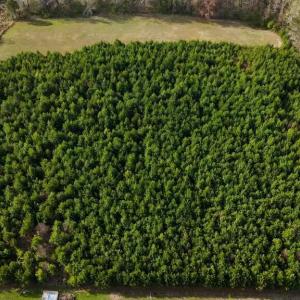 DJI_20260326093247_0009_D