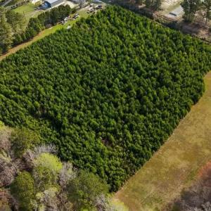 DJI_20260326093441_0012_D