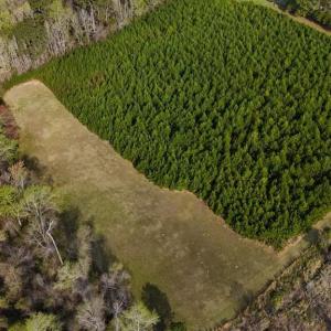 DJI_20260326093537_0014_D