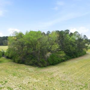 The Pond is in there, I promise