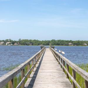 mls_RiverRunPlantation-33