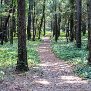 mls_RiverRunPlantation-2