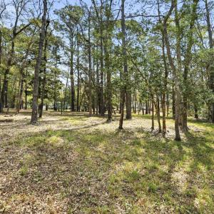 mls_3175-channel-drive-southeast--bolivi