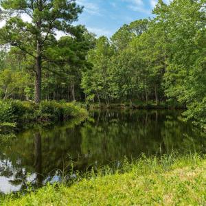 mls_RiverRunPlantation-8