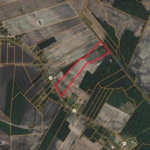 Screenshot 2026-03-31 at 3.02.00PM