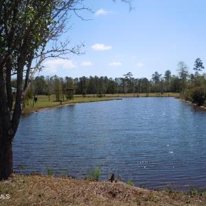 DSCN0769