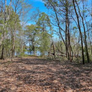 Odum Lot - photos - Edited_1