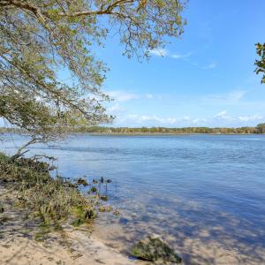 Odum Lot - photos - Edited_4