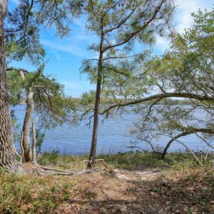 Odum Lot - photos - Edited_2