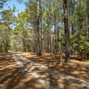 Odum Lot - Aerials - Edited_7