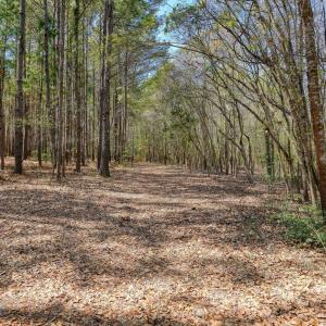 Odum Lot - photos - Edited