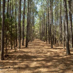 Odum Lot - Aerials - Edited_17