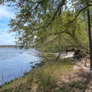 Odum Lot - photos - Edited_3