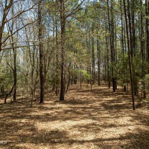 Odum Lot - Aerials - Edited_18