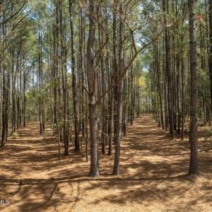 Odum Lot - Aerials - Edited_26