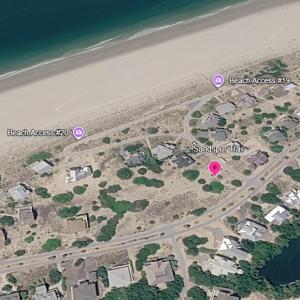 2 Sandspur 2