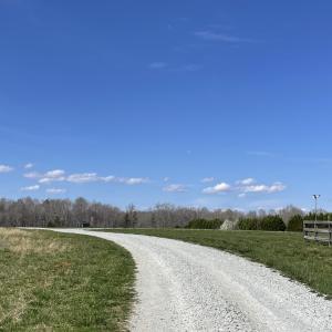 IMG_2824