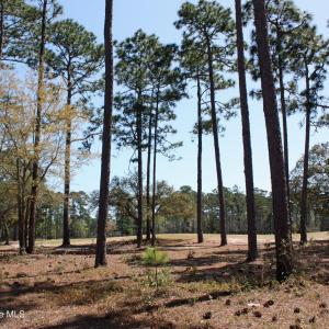 Beautiful Golf Vistas