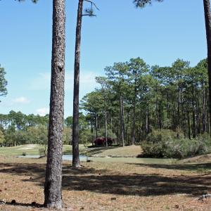 BP Homesite
