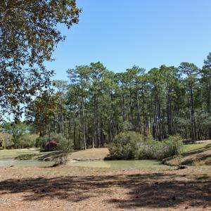 BP Pond View