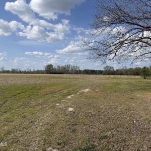 Rosebud Church Rd -3(1)