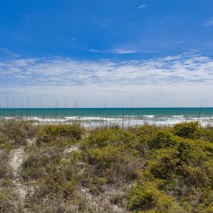 002_dji_20260410054716_0001_d_copy_505