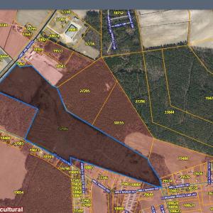 gis measurement tool