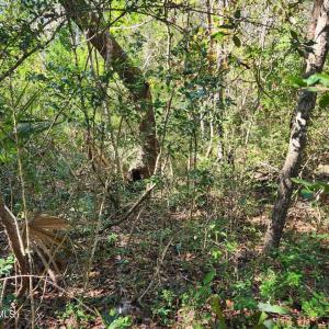 20240130024042169852000000-o