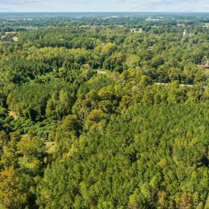 6-web-or-mls-DJI_0837