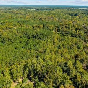 11-web-or-mls-DJI_0842