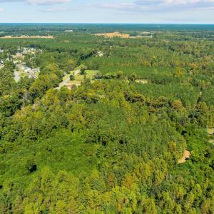 3-web-or-mls-DJI_0834