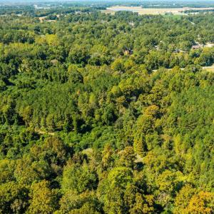 5-web-or-mls-DJI_0836