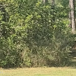 1731 Caracara LOT