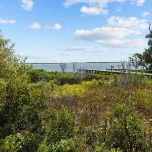 4-web-or-mls-1S3A1568