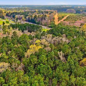 Vanceboro, NC-18