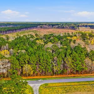 Vanceboro, NC-14 (1)